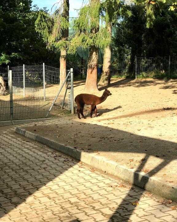 Tierpark Fauna